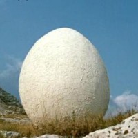 Нерациональность, Саентология Нерациональность, Саентология