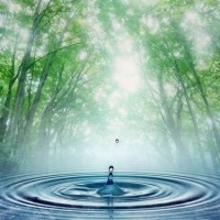 Потоки: роль силы в клировании в PDF&mp3, ФДК-27 Потоки: роль силы в клировании в PDF&mp3, ФДК-27